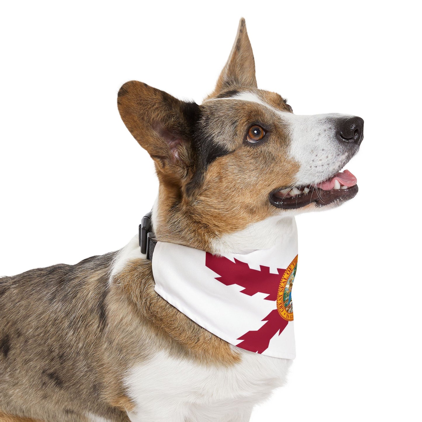 Pet Bandana Collar