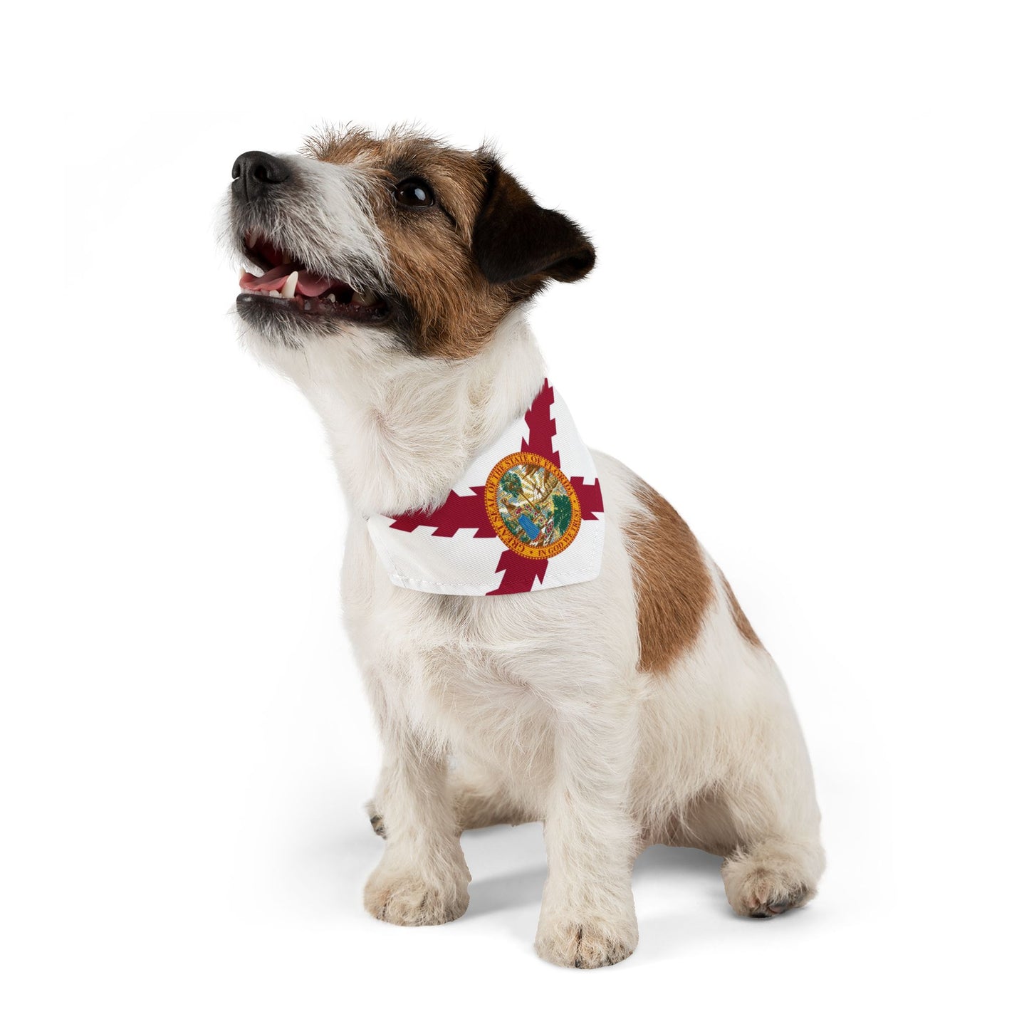 Pet Bandana Collar